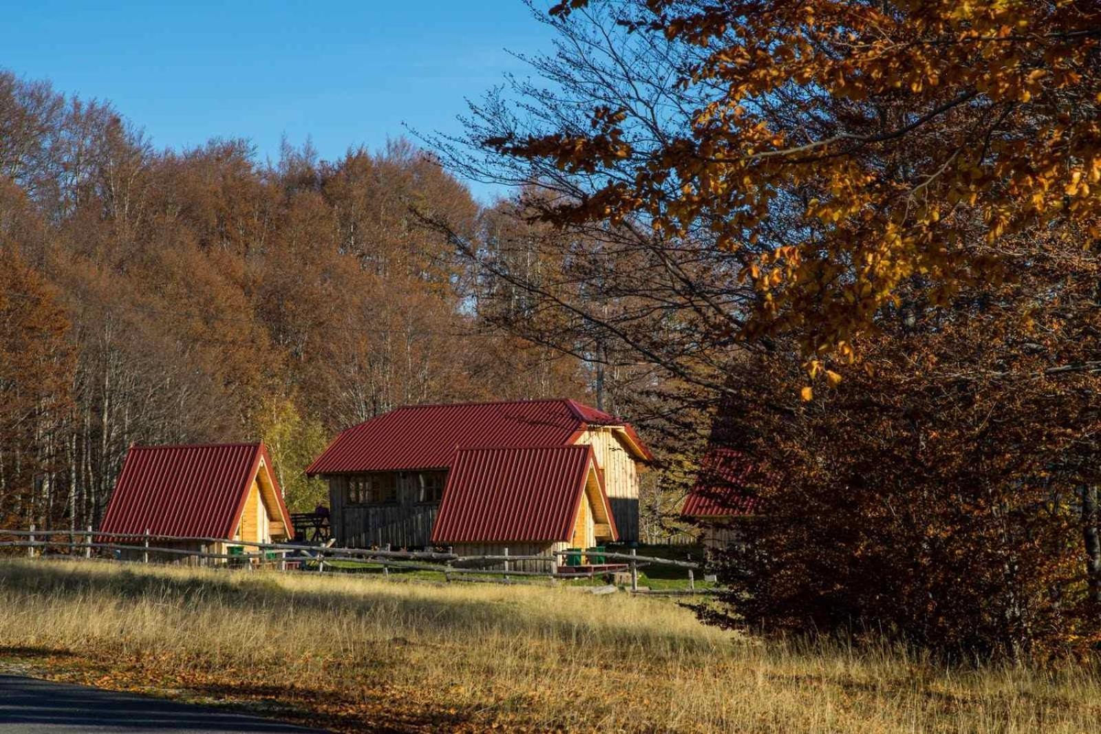Maple Bungalows Žabljak Exterior foto